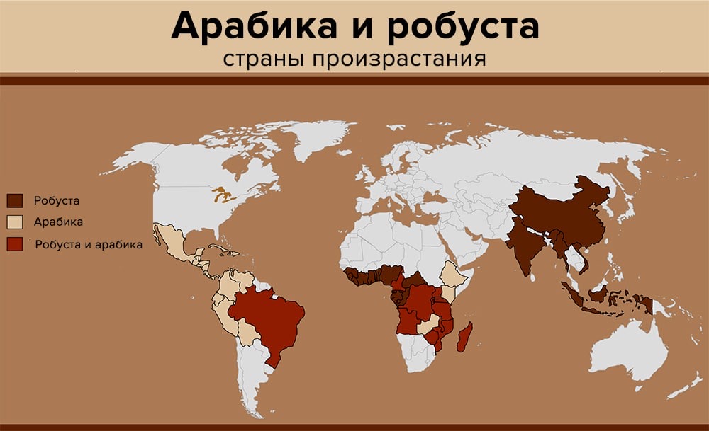 карта кофе арабика и робуста
