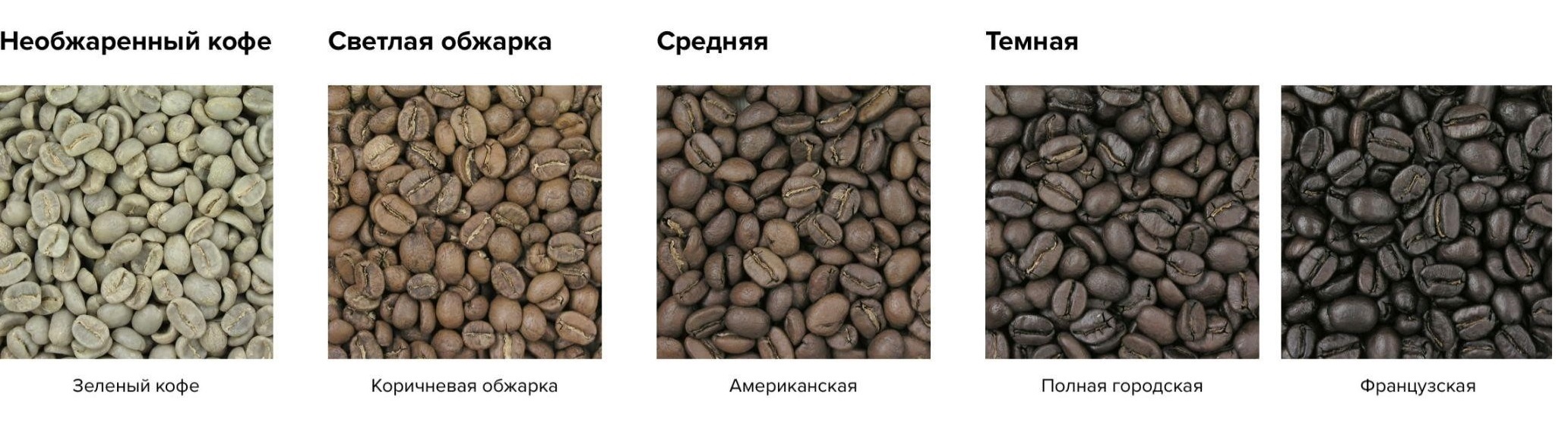 Степени обжарки_3.jpg